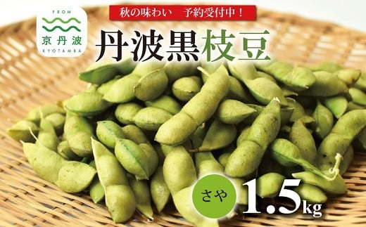 《 先行予約 》丹波黒枝豆 さや 1.5kg（京都 京丹波町産 丹波黒大豆）≪秋だけの期間限定 数量限定≫【季節限定  おつまみ  枝豆 えだまめ  地域限定 黒豆 ご当地グルメ 特産品】※北海道・沖縄・その他離島は配送不可 [010KK002L]