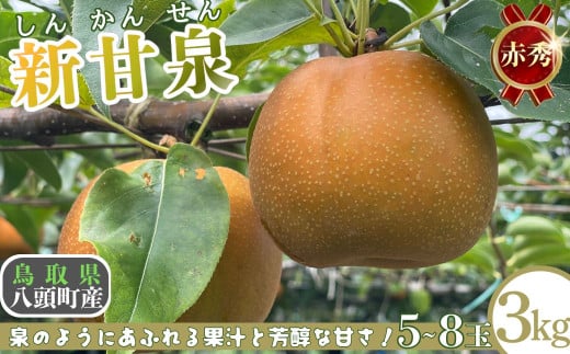 新甘泉(赤秀) 3kg