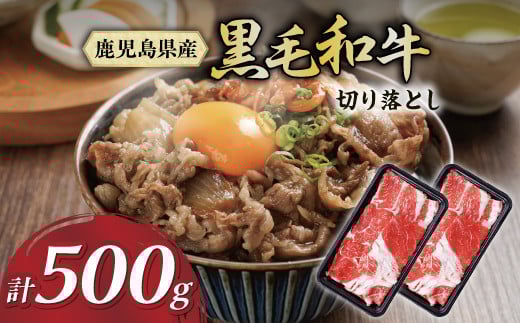 黒毛和牛切り落とし肉 (スネスライス) 500g 2119362 - 鹿児島県大崎町