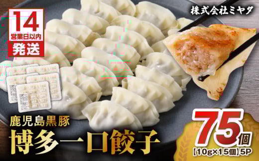 【14営業日以内に発送】 鹿児島黒豚博多一口餃子 75個　K025-009_01 1519662 - 鹿児島県鹿児島市