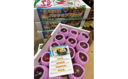 種子島産 パッションフルーツ 約2kg（約20個前後）