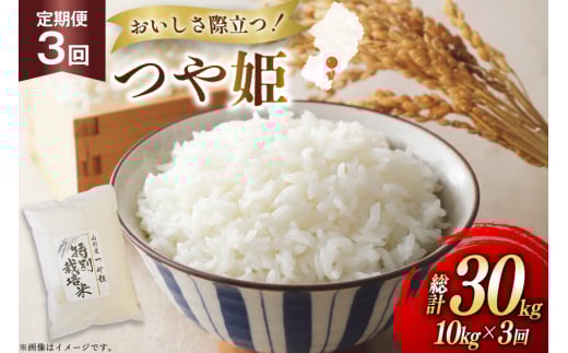 米 定期便 3回 令和7年 つや姫 10kg 3回 計30kg [渡部ファーム 山形県 高畠町 tk06ays810039] お米 白米 精米 ごはん ご飯 ブランド米 2135470 - 山形県高畠町