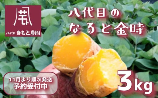 【予約受付中・2025年11月頃より順次発送】【木元農園】八代目の なると金時 約3kg | さつまいも 鳴門金時 熟成 国産 スイーツ 焼き芋 干し芋 味噌汁 天ぷら サラダ スープ 1216526 - 徳島県鳴門市