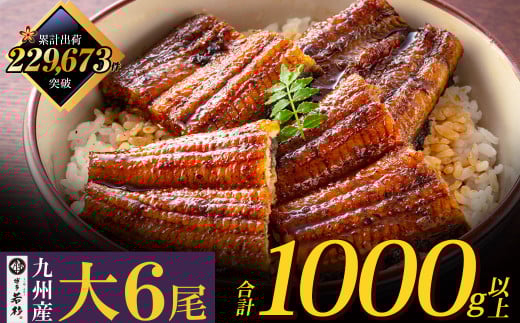 U61-72-02 国産うなぎ蒲焼大サイズ6尾（計1000g以上）鰻蒲焼用タレ・山椒付 うなぎ生産量日本一鹿児島県産・宮崎県産・熊本県産 うなぎ 鰻 国産 うなぎ蒲焼き うな重 ひつまぶし 国産鰻 ウナギ 蒲焼 人気 鰻 おすすめ タレ 山椒 鰻 6尾 大容量 鰻 うなぎ ウナギ 国産 福智町 2072814 - 福岡県福智町