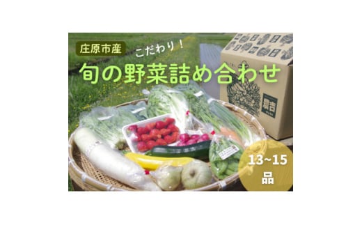庄原産「旬の野菜」詰め合わせ箱【1345756】 492285 - 広島県庄原市