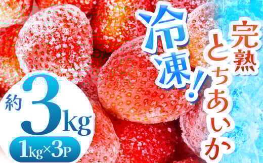 【数量限定】 完熟！冷凍とちあいか 約3kg |  グラム数 選べる いちご とちあいか 冷凍 冷凍イチゴ スイーツ ジャム スムージー たっぷり 大粒 甘い 美味しい 果物 デザート 栃木県 真岡市 送料無料 2121066 - 栃木県真岡市