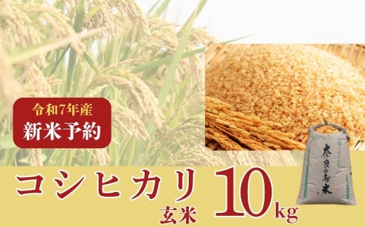 〈数量限定〉【2025年収穫後順次発送】新米コシヒカリ　10kg（玄米）コシヒカリ こしひかり 新米 米 こめ ご飯 ふっくら つやつや  大和高原  大和高原醸造所 奈良県 奈良市 なら 29-003 2115397 - 奈良県奈良市