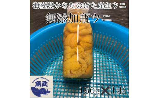 岩手県たのはた産　無添加瓶入り生ウニ150g×1本　産地直送【1509338】