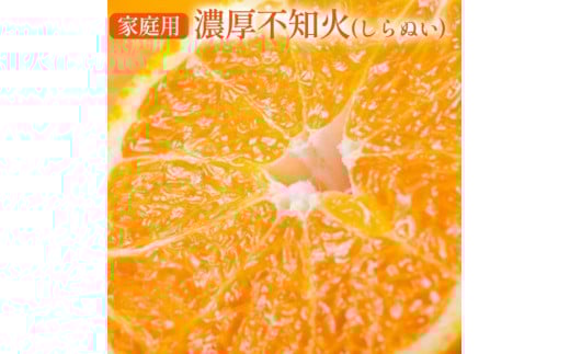 [先行予約][農家直送]濃厚不知火(ご家庭用)約1kg ※2026年1月下旬〜3月下旬頃に順次発送予定 ※沖縄・離島への配送不可