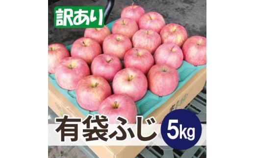 ＜26年6月出荷予定＞平均糖度13度以上! 有袋ふじ 約5kg 訳あり CA貯蔵 クール便【1613255】 2096910 - 青森県黒石市