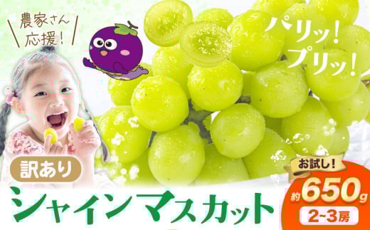 [先行予約]訳あり シャインマスカット 約650g [2025年8月上旬-8月下旬頃出荷]訳あり シャインマスカット マスカット ぶどう フルーツ 果物 大阪府 羽曳野市 シャイン 食べやすい