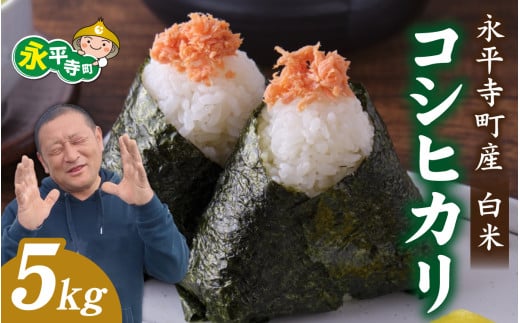 [先行予約]永平寺町飯島産 コシヒカリ [白米]5kg / ふるさと納税 米 5kg こしひかり 5キロ 福井県 永平寺町 の おいしい お米 発祥の地 こめ おこめ 白米 精米 国産 限定 ごはん ご飯 白飯 ゴハン あまみ ふるさと ランキング 人気 おすすめ 送料無料 産地直送 農家直送 福井県 永平寺 国産米 中西農園 [B-074001]