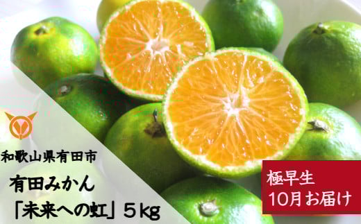 【10月お届け】有田みかん「未来への虹」（5kg）(A1035-1)