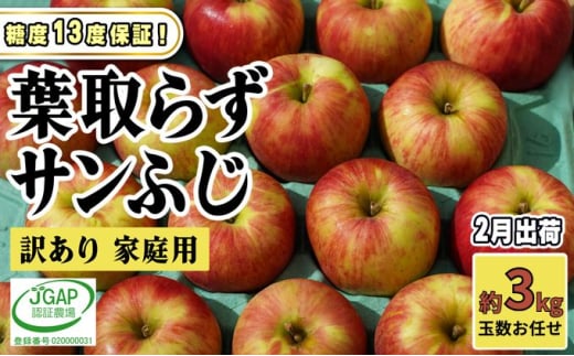 [№5554-0273]2月発送【 糖度保証 】家庭用 葉取らず サンふじ 約 3kg【 訳あり 】鶴翔りんごGAP部会 青森県産 津軽産 リンゴ 林檎 果物 フルーツ デザート 甘味