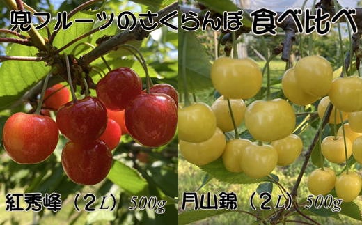 7-020-019 兜フルーツのさくらんぼ食べ比べ(紅秀峰・月山錦)1kg