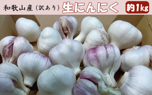 和歌山県産生にんにく約1kg ご家庭用 / 和歌山 ニンニク 【tec986】 2065081 - 和歌山県太地町