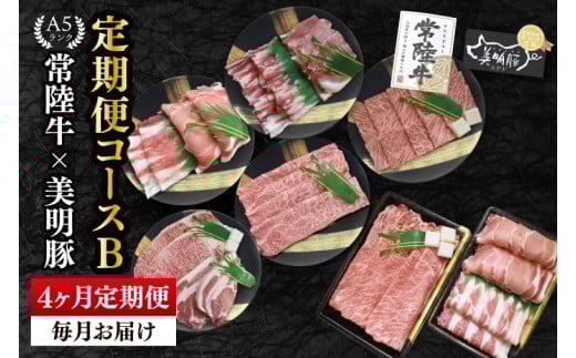【4か月定期便】A5ランク常陸牛＆美明豚　食べ比べ　定期便コースB｜すき焼き しゃぶしゃぶ 焼肉 BBQ ステーキ 国産牛 和牛 牛肉 豚肉茨城県 水戸市  国産 老舗精肉店（EK-82）