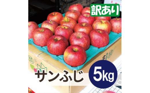 ＜26年3月より順次発送＞平均糖度13度以上! サンふじ 約5kg 訳あり【1611223】 2096749 - 青森県黒石市