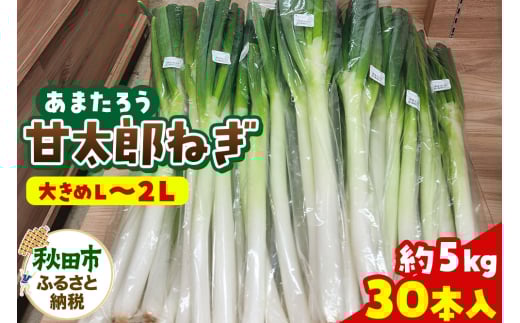 甘太郎ねぎ 約5kg（1箱30本入り）