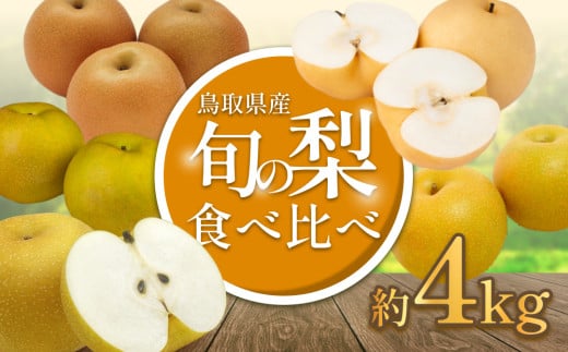 先行予約 品種はおまかせ 旬の梨ミックス 4kg｜鳥取 果物 くだもの フルーツ なし 梨 旬 和梨 二十世紀梨 新甘泉 秋甘泉 王秋 数量限定【41041】 2137351 - 鳥取県岩美町