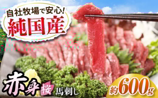 『純国産』熊本の味「桜」赤身 馬刺し スライス 約600g タレ付【有限会社 九州食肉産業】 [AYCN076] 2114932 - 熊本県合志市