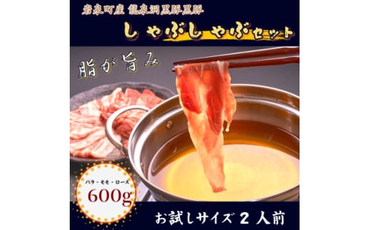 黒豚しゃぶしゃぶセット＜岩泉産龍泉洞黒豚＞おためし用600g【1618940】