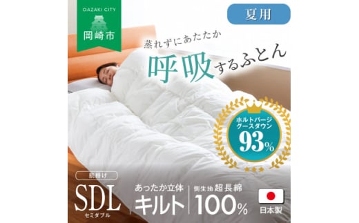 [夏用]究極に軽く、蒸れない羽毛ふとん (セミダブルロングサイズ)170x210cm(HVG)【1615527】 2120549 - 愛知県岡崎市
