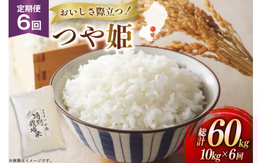 米 定期便 6回 令和7年 つや姫 10kg 6回 計60kg [渡部ファーム 山形県 高畠町 tk06ays810040] お米 白米 精米 ごはん ご飯 ブランド米 2135471 - 山形県高畠町