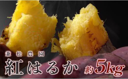 【高知県 大月町産】兼松農園　紅はるか　5kg 1413445 - 高知県大月町