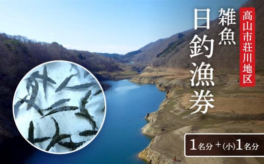 高山市荘川地区 遊漁証・日釣漁券(雑魚) 1名分+(小)1名分 | 釣り 遊漁証 日釣り 荘川 庄川 庄川漁業協同組合 アウトドア 飛騨高山 桜の郷猿丸管理組合