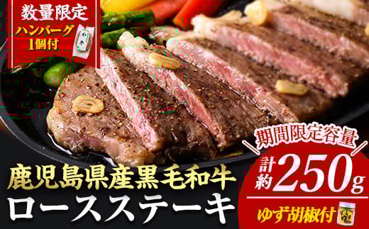 ＜14営業日以内に発送！＞＜1枚・計約250g＋ハンバーグ1個＞4等級以上！鹿児島県産黒毛和牛ロースステーキ1枚セット 黒毛和牛 ステーキ 冷凍【ナンチク】B1-00
