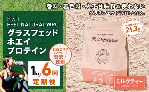 【定期便6回】FEEL NATURAL ミルクティー  | G.Oホールディングス フィールナチュラル ダイエット サポート 置き換え プロティン プロテイン 朝食 乳酸菌 ダイエットサポート ドリンク 食事 国産 美容 ホエイプロテイン ココア 抹茶 ミルクティー プレーン 栃木県 真岡市 送料無料 2121900 - 栃木県真岡市