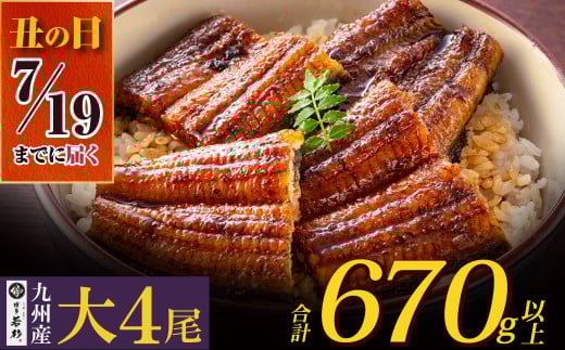 U61-73-03R01 【7/19までにお届け】  国産うなぎ蒲焼大サイズ4尾（計670g以上）鰻蒲焼用タレ・山椒付 うなぎ 生産量日本一鹿児島県産うなぎ 宮崎県産うなぎ 熊本県産うなぎ 九州産 うなぎ 鰻 人気 おすすめ 鰻 ウナギ うなぎ 国産 冷凍 蒲焼 うな重 ひつまぶし 土用 丑の日 2072818 - 福岡県福智町