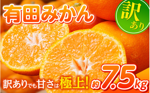 【訳あり】農家直送 有田みかん 約7.5kg ご家庭用 サイズ混合 ※2025年11月中旬より順次発送予定（お届け日指定不可）※北海道・沖縄・離島への配送不可 訳ありみかん みかん ミカン 蜜柑 柑橘 フルーツ 果物 くだもの 温州みかんサイズ混合 訳ありみかん 温州みかん 有機質肥料100% ふるさと納税 柑橘 有田 産地直送【nuk157C】  2106694 - 和歌山県由良町