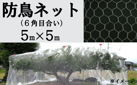 防鳥ネット（６角目合い）５m×５m