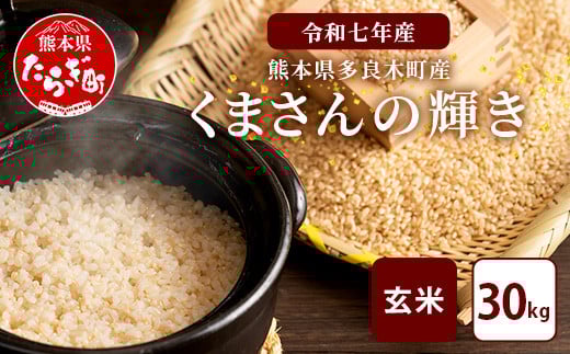 【令和7年産 玄米 】10月中旬～発送 多良木町産「くまさんの輝き」 玄米 30kg 米どころ 多良木町 たらぎ 新米 玄米 上原農園 農家直送 熊本県 30キロ  119-0501 2119364 - 熊本県多良木町