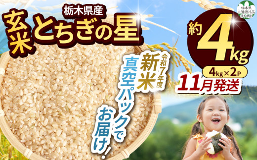 【先行予約】【令和7年度新米】【毎月500個限定！】 【栃木県共通返礼品】栃木県産とちぎの星 2kg（玄米真空パック）11月分 | 新米 とちぎの星 玄米 米 ごはん  冷めてもおいしい ふるさと納税 那珂川町 栃木県 2119372 - 栃木県那珂川町