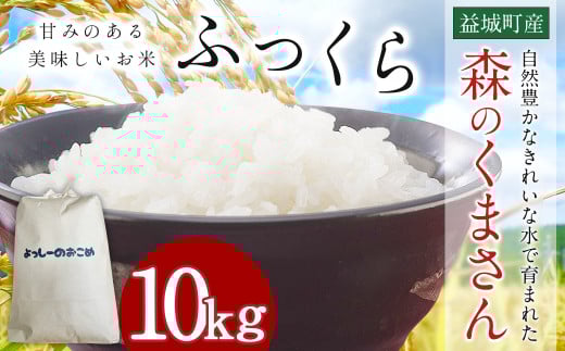 令和7年産 益城町 精米 森のくまさん 10kg お米 【2025年11月上旬より順次発送予定】