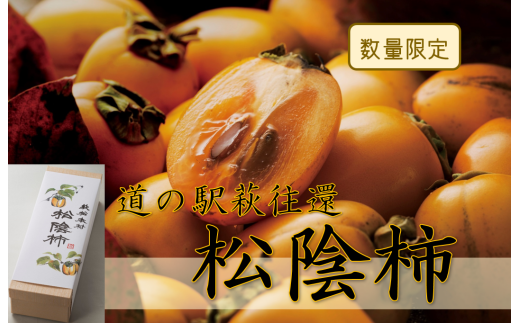 150年の時を超えた/松陰柿 |HG000433