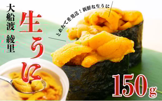 【期間限定】 水揚げ日発送 綾里の生うに 150g 数量限定 冷蔵 無添加 ミョウバン不使用 岩手県産 ムラサキウニ  [ 季節限定 生うに 生雲丹  天然 海鮮丼 寿司 ウニ丼 刺身 ] 1342114 - 岩手県大船渡市