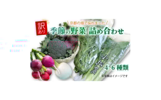 ＜訳あり＞季節の野菜セット4～6品　京都府久御山町産【1615125】