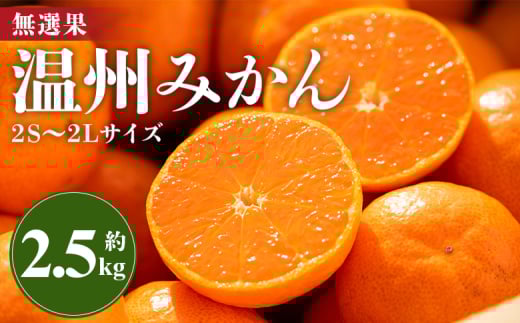 みかん 温州みかん 2.5kg 小玉大玉 柑橘 【無選果】 大小混合 フルーツ 果物 山のてっぺん間城農園みかん 甘い 山北みかん - ミカン 蜜柑 柑橘 柑橘類 フルーツ 果物 くだもの 甘い サイズ混合 高知県 香南市 ms-0071 1375120 - 高知県香南市