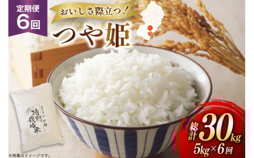 米 定期便 6回 令和7年 つや姫 5kg 6回 計30kg [渡部ファーム 山形県 高畠町 tk06ays810038] お米 白米 精米 ごはん ご飯 ブランド米 2135469 - 山形県高畠町