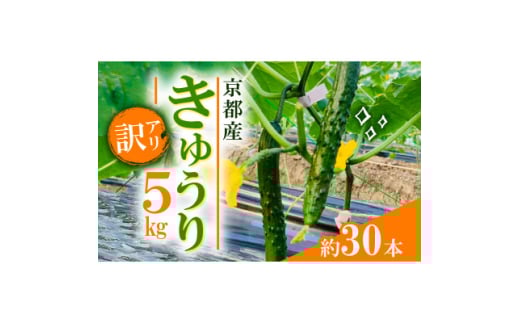 ＜訳アリ＞ きゅうり5kg(約30本)【1623414】
