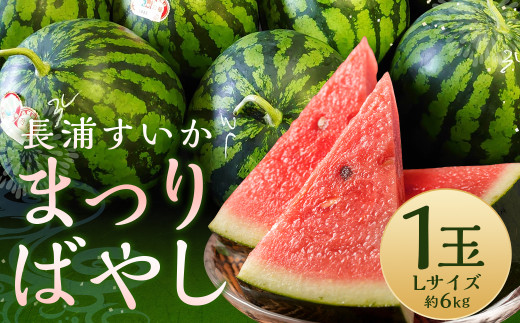 長浦すいか「まつりばやし」計1玉 Lサイズ 6kg台【2025年6月下旬～8月下旬迄発送予定】 すいか スイカ 西瓜 長浦すいか まつりばやし 果物 フルーツ くだもの 長崎市 2119296 - 長崎県長崎市