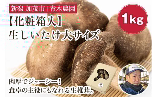 【化粧箱入】生しいたけ 大サイズ 約1kg（19～27個）《10月中旬から順次発送》 品評会で金賞受賞！  きのこ しいたけ 椎茸 特大 食べ応えある大きさ 肉厚で旨味たっぷり！ ギフト 加茂市 青木農園
