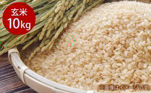 令和7年産 岡山県倉敷市産 きぬむすめ 玄米 10kg【2025年10月上旬より発送開始】 643175 - 岡山県倉敷市