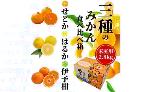 [2026年2月頃発送] [先行予約] [三種のみかん食べ比べ箱]せとか・はるか・宮内伊予柑 (家庭用)約2.8kg 食べくらべ 愛媛 みかん 詰め合わせ セット 先行予約 蜜柑 柑橘 果物 くだもの フルーツ お取り寄せ グルメ 期間限定 数量限定 人気 おすすめ 愛媛県 松山市