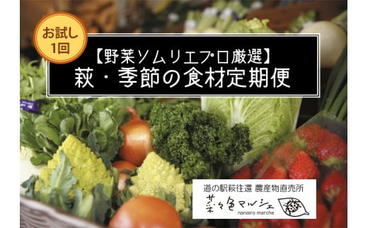 野菜ソムリエプロselect／萩・季節の食材セット　定期便お試し1回コース　｜HG000601 2057309 - 山口県萩市
