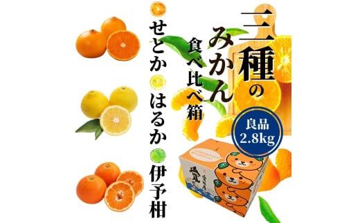 ＜2026年2月頃発送＞ 【先行予約】 【三種のみかん食べ比べ箱】せとか・はるか・宮内伊予柑 （良品）約2.8kg　食べくらべ 愛媛 みかん 詰め合わせ セット 先行予約 蜜柑 柑橘 果物 くだもの フルーツ お取り寄せ グルメ 期間限定 数量限定 人気 おすすめ 愛媛県 松山市 2119649 - 愛媛県松山市